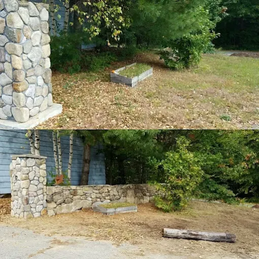 Yard cleanup before and after